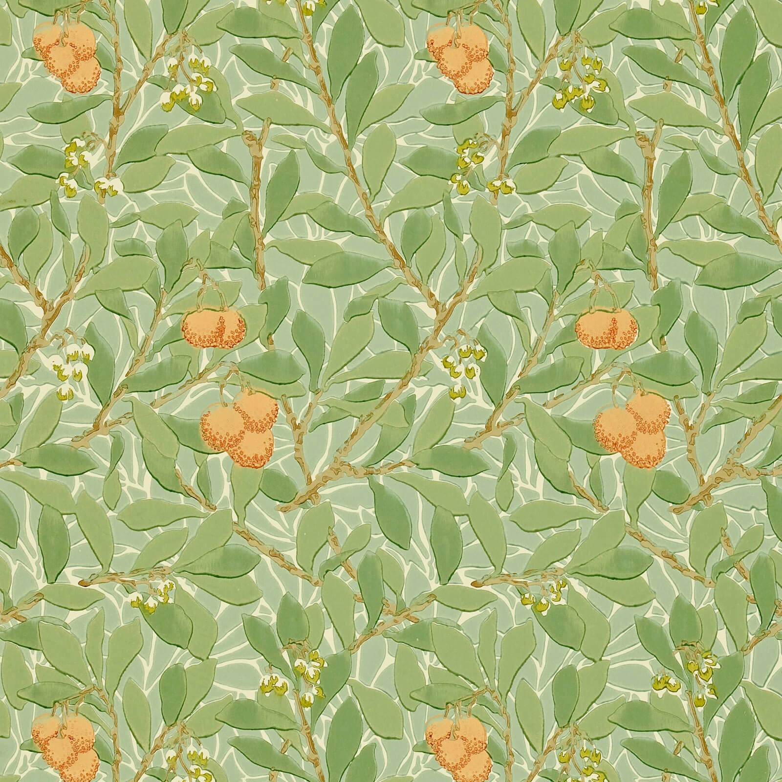 Arbutus Green/Terracotta